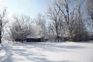 Winter Beauty in Hendricks County
