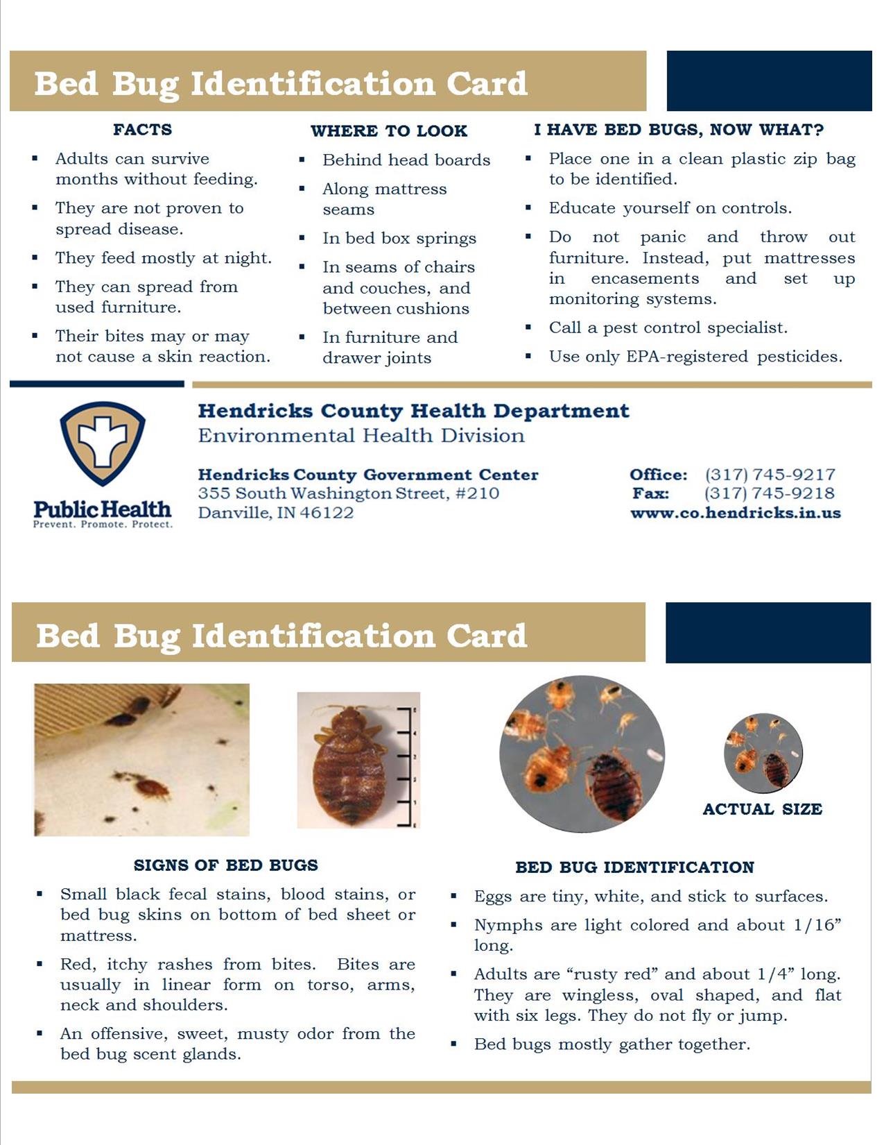 Bed Bug ID Card