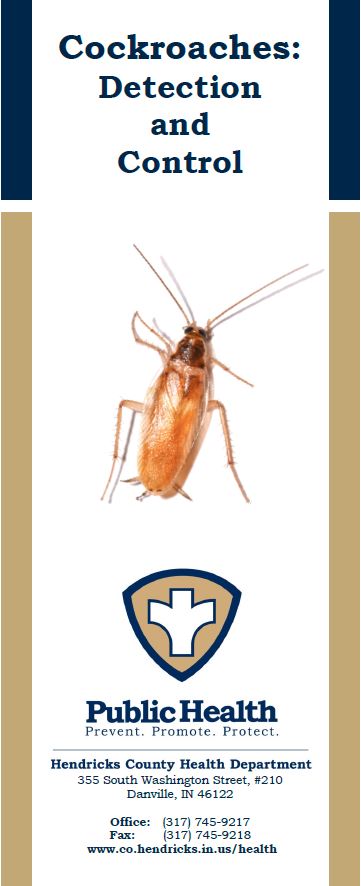 Cockroach Detection and Control Brochure